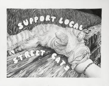 "Support Local Street Cats" | 2021 | Graphite