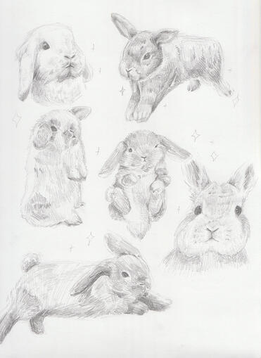 Bunnies | 2021 | Graphite