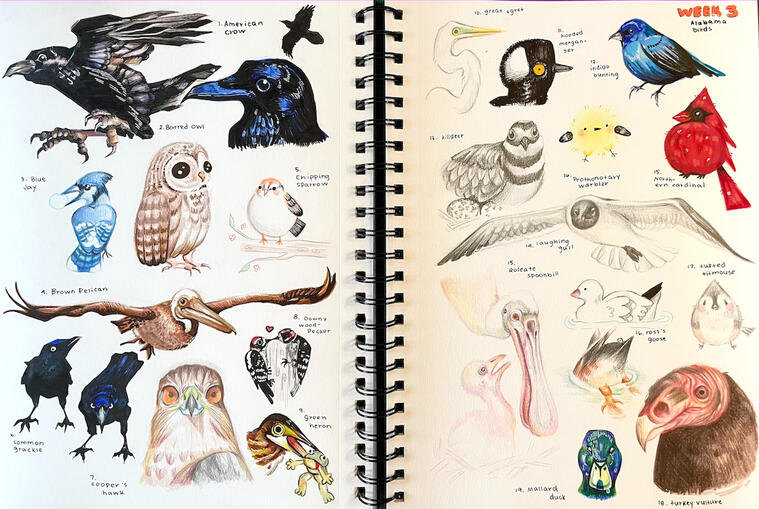 Birds | 2024 | Mixed Media