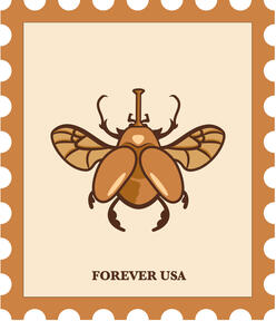 "Scarab" | 2022 | Digital Illustration