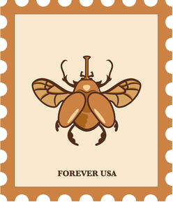 "Scarab" | 2022 | Adobe InDesign